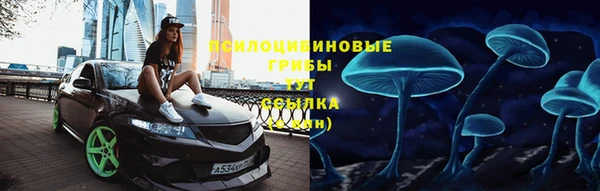 2c-b Алексин