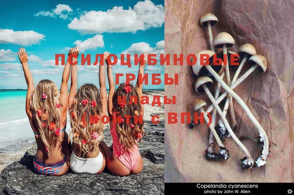 герыч Алзамай