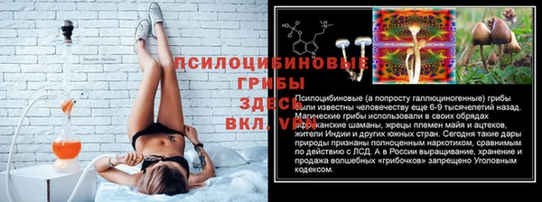 2c-b Алексин